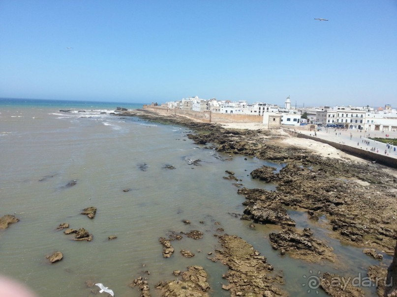 Отзыв об отдыхе в Марокко (отель Riu Tikida Beach)