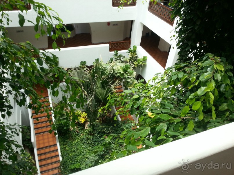 Отзыв об отдыхе в Марокко (отель Riu Tikida Beach)