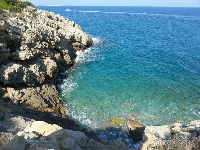 фото Best Sol d'Or