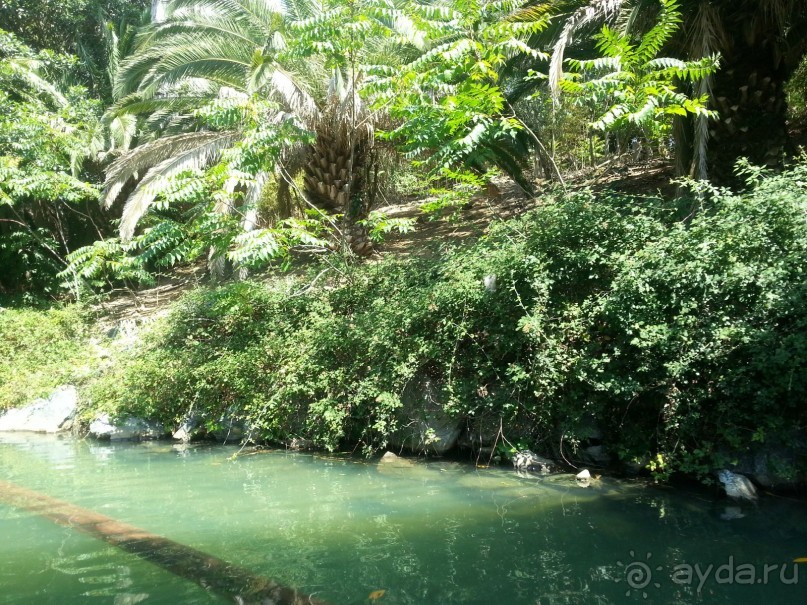 Отзыв об отдыхе в отеле BEST SOL D’OR, Коста-Дорада, Испания. 13.07.2015-24.07.2015