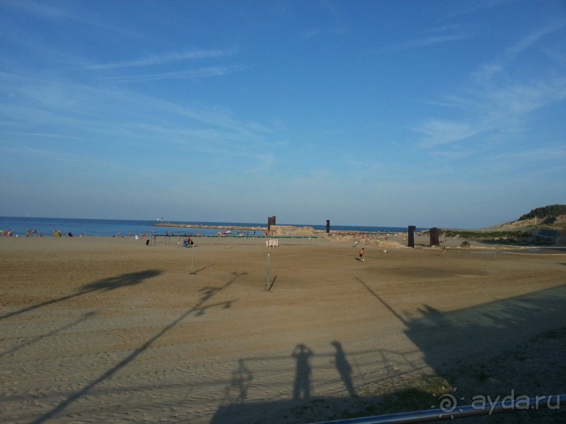 Отзыв об отдыхе в отеле BEST SOL D’OR, Коста-Дорада, Испания. 13.07.2015-24.07.2015