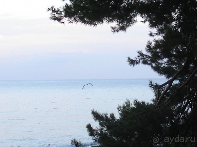 Чудесное место, требующее большего внимания