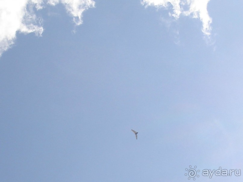 Чудесное место, требующее большего внимания