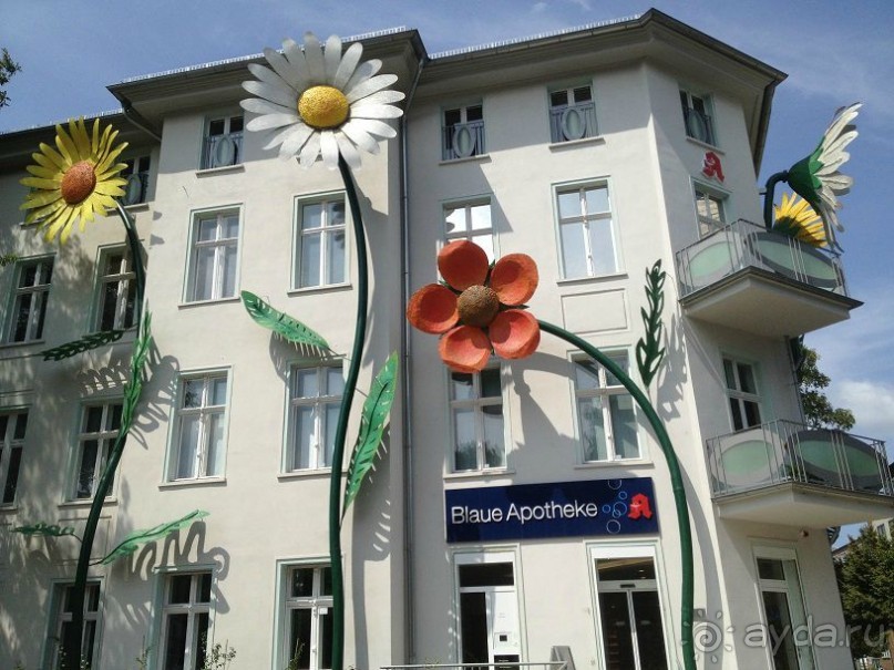 Альбом отзыва "Мы объездили уже почти всю Европу!"