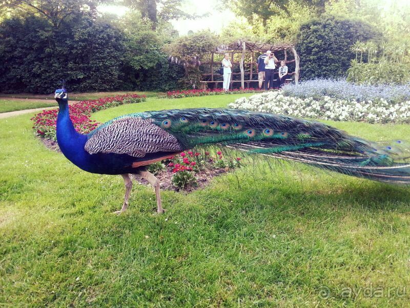 Альбом отзыва "Мы объездили уже почти всю Европу!"