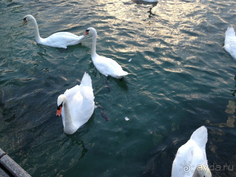 фото Albergue Bilbao