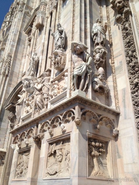 фото Zenit Borrel