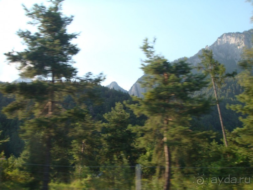 фото Zenit Borrel