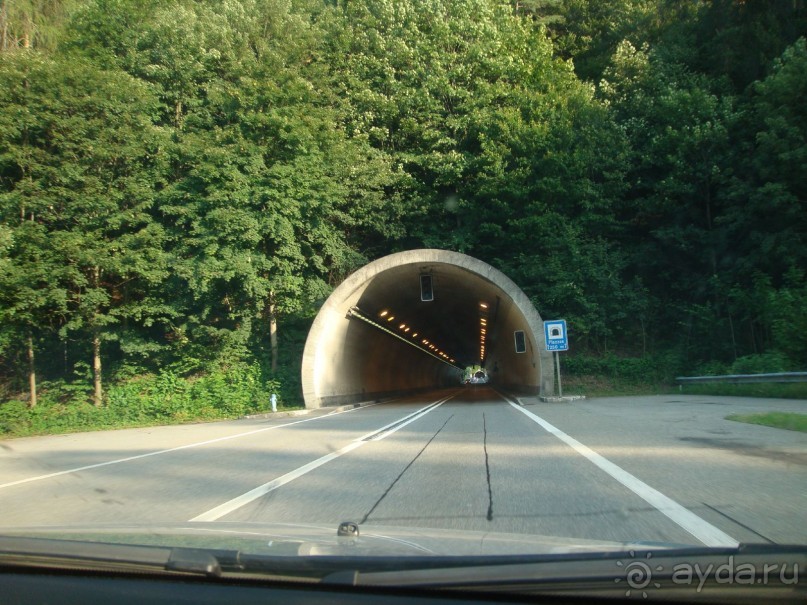 фото Zenit Borrel