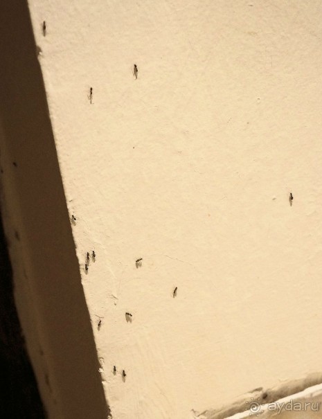 треха и не более