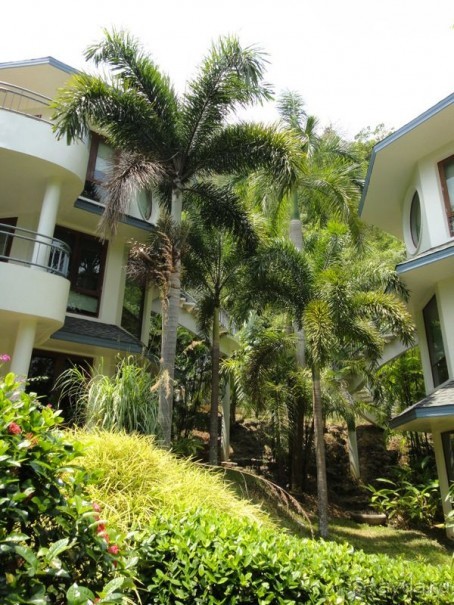 фото Krabi Resort