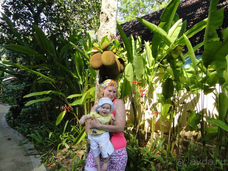 фото Krabi Resort