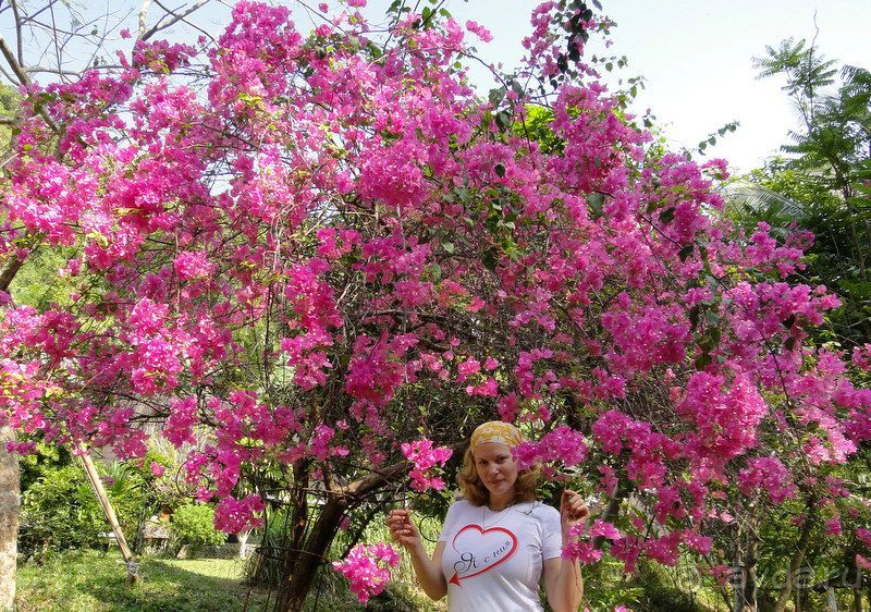 фото Krabi Resort