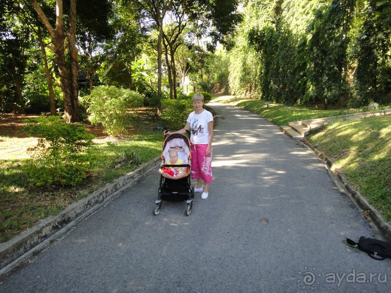 фото Krabi Resort