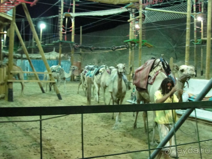 Эйлат. Канатный парк на верблюжьем ранчо.