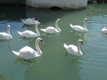 Впервые в Абхазии