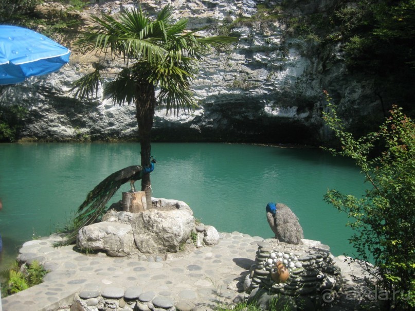 Впервые в Абхазии