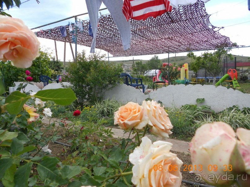 С июля 2012 ждали,когда уволенные работники начнут свое черное дело!