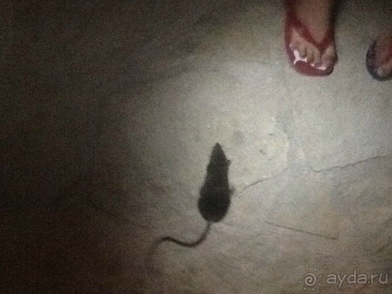 САМЫЙ БЕЗОБРАЗНЫЙ И УЖАСНЫЙ ОТДЫХ В МОЕЙ ЖИЗНИ с  постоянным запахом канализации.