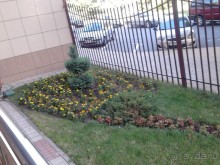 Мой ребёнок захотел остаться здесь жить!