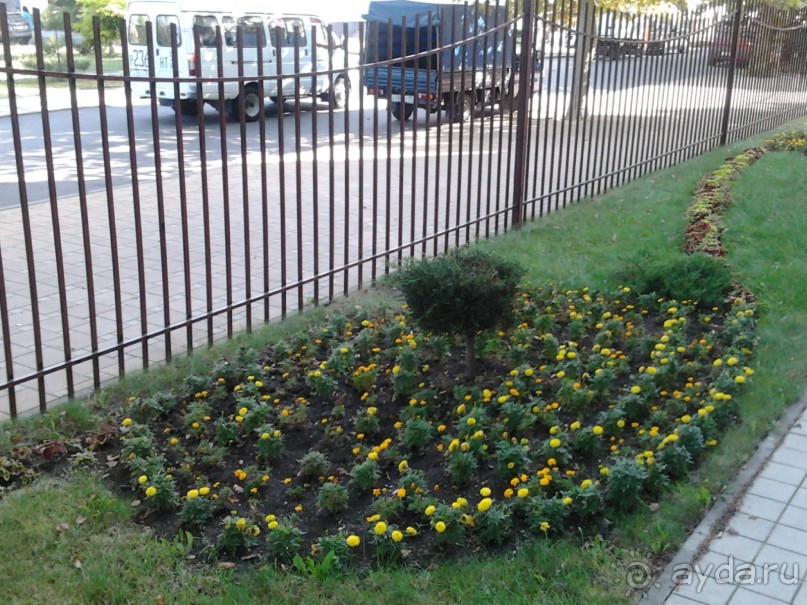 Мой ребёнок захотел остаться здесь жить!