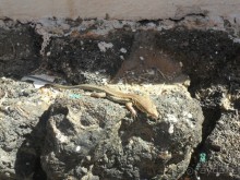 Не однозначно