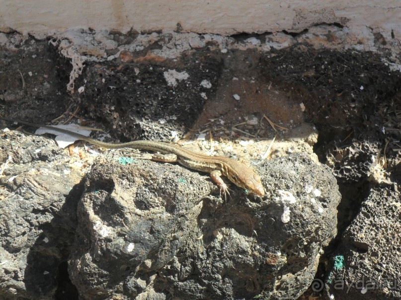 Не однозначно