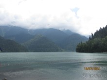 фото Самшитовая роща