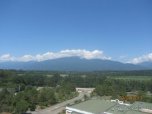 фото Самшитовая роща