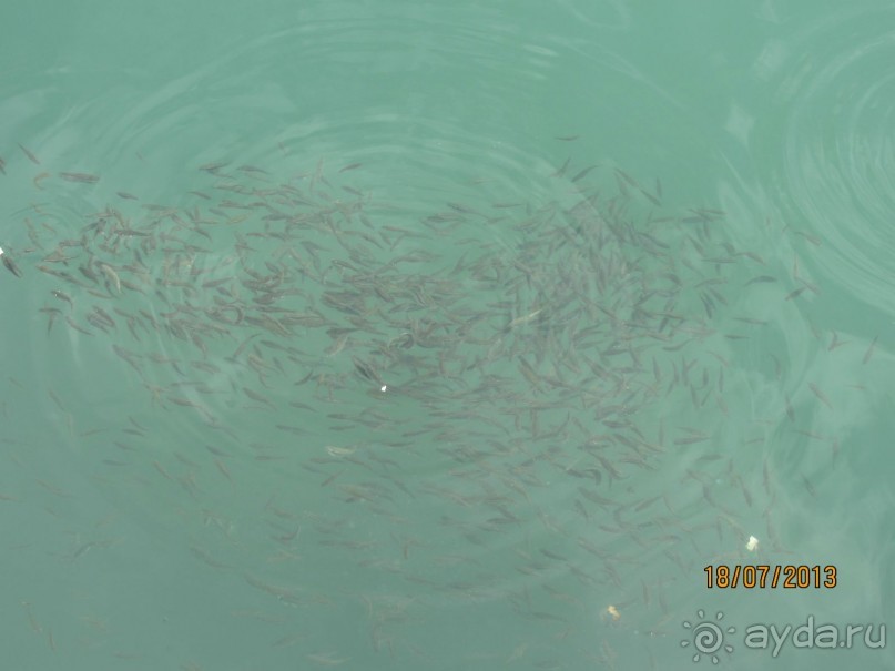 Очень даже хорошо!