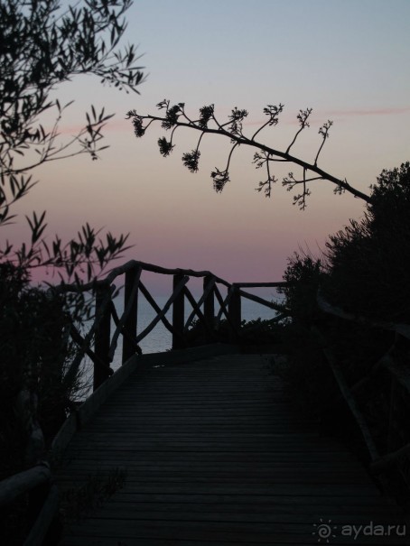 фото Residence Select