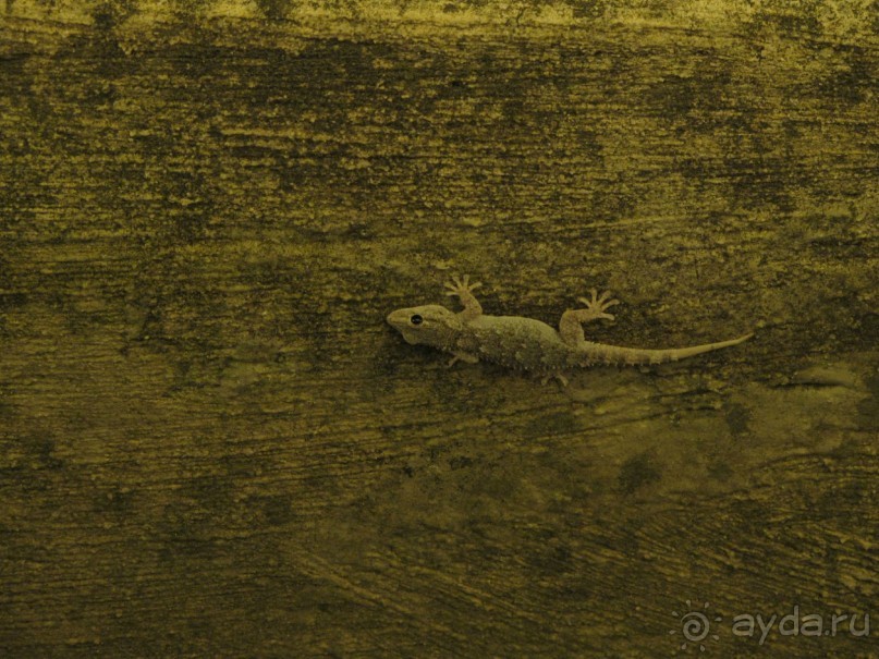 фото Residence Select