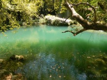 незабываемый отдых