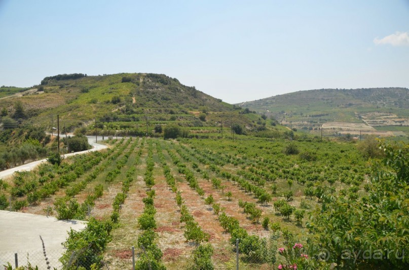 фото Residence Vitkova