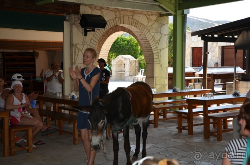 фото Residence Vitkova