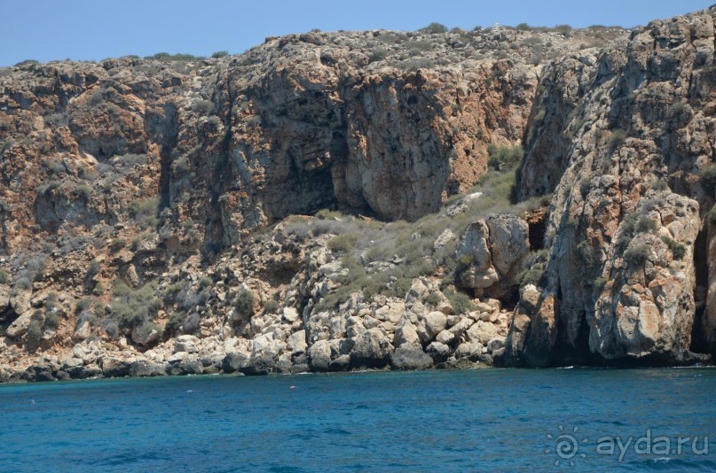 фото Residence Vitkova