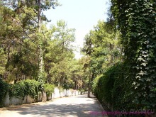 фото Club Megasaray