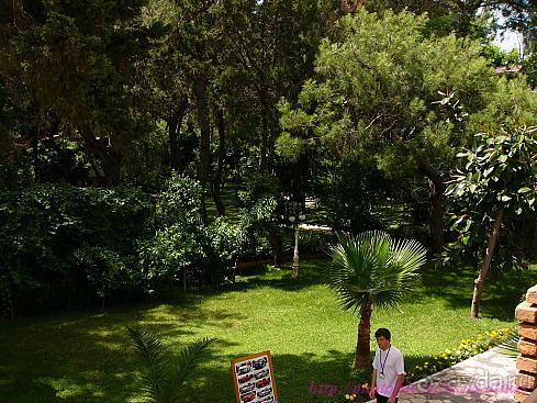 фото Armas Kaplan Paradise