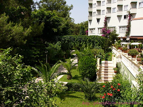 фото Armas Kaplan Paradise