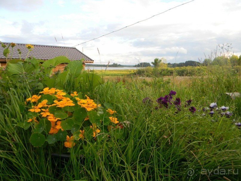 Спасибо за прекрасный отдых!