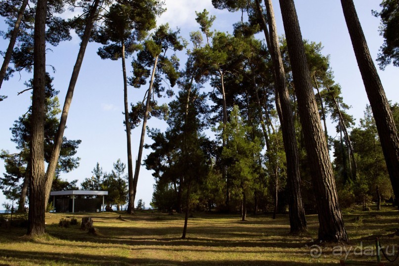 В Абхазию можно, только осторожно