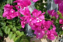 Отличный отель