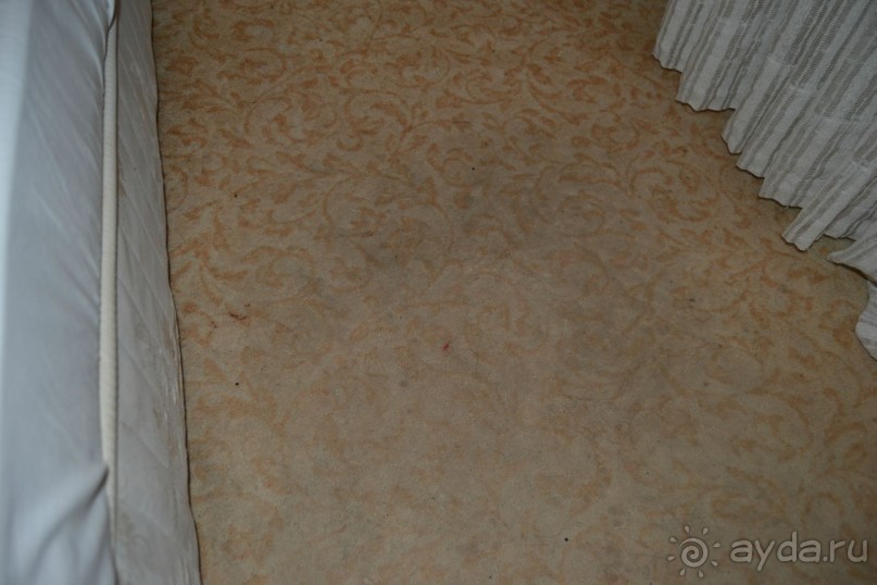 фото Elite Life Hotel