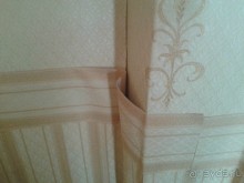 Ужас на крыльях ночи.