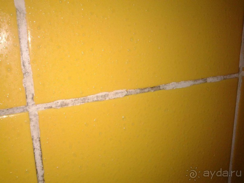 Ужас на крыльях ночи.