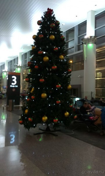 Зимняя Армения (часть 3) 