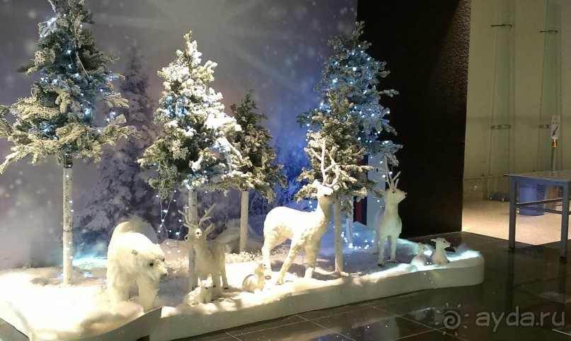 Зимняя Армения (часть 3) 