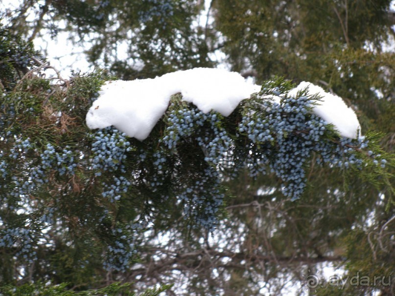 Зимняя Армения (часть 2)