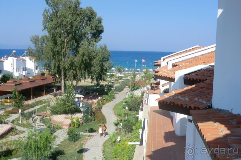 100% оправдание ожидания