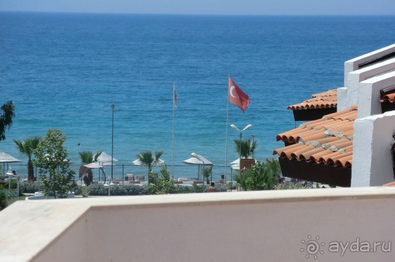 100% оправдание ожидания